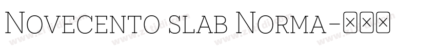 Novecento slab Norma字体转换